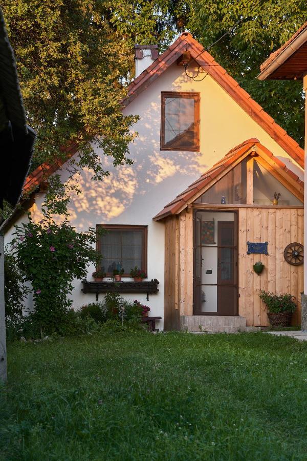 Walnut Tree Cottage Sacele Bagian luar foto